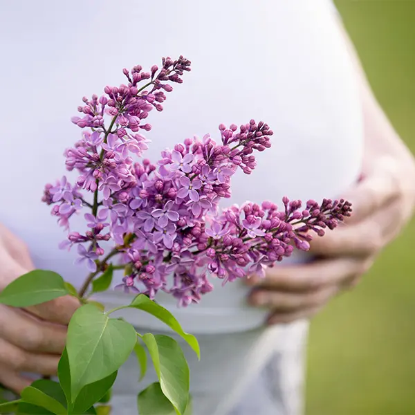 Postpartum Herbal Support